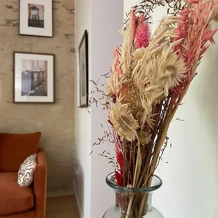 Apartment Tres Bel Avec Jardin Reposant Angers