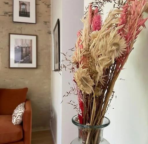 Apartment Tres Bel Avec Jardin Reposant Angers