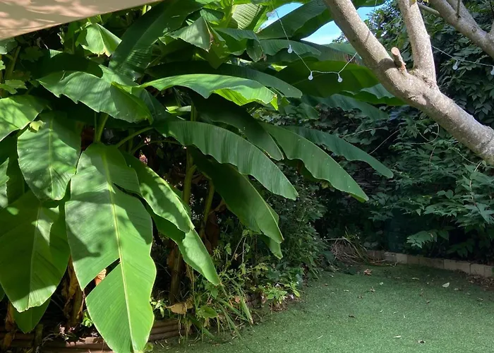 Tres Bel Avec Jardin Reposant